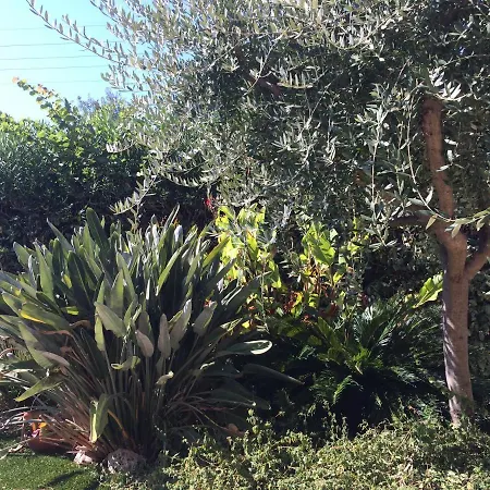 Apartamento Avenue De La Castillane Cavalaire-sur-Mer